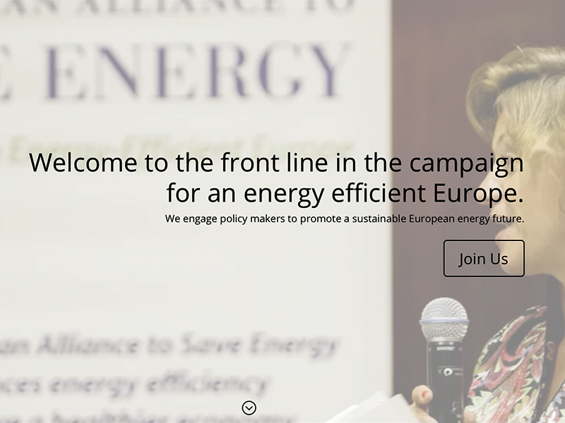 The European Alliance to Save Energy