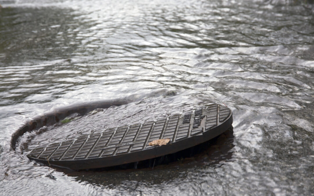 Have Your Say: European Commission Consults on New Stormwater Policies